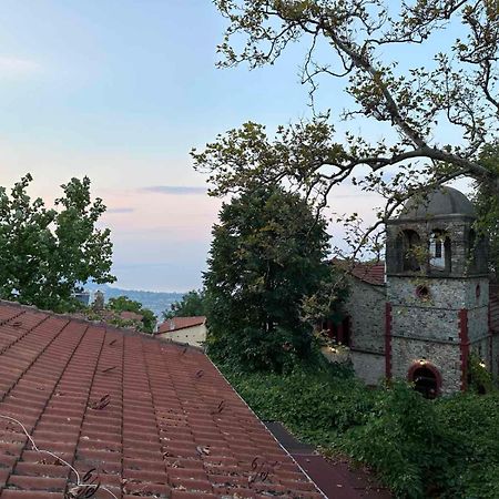 Το Ανώι Apartment Palaios Panteleimonas Bagian luar foto